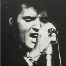 elvis1
