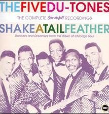 SHAKE A TAIL FEATHER